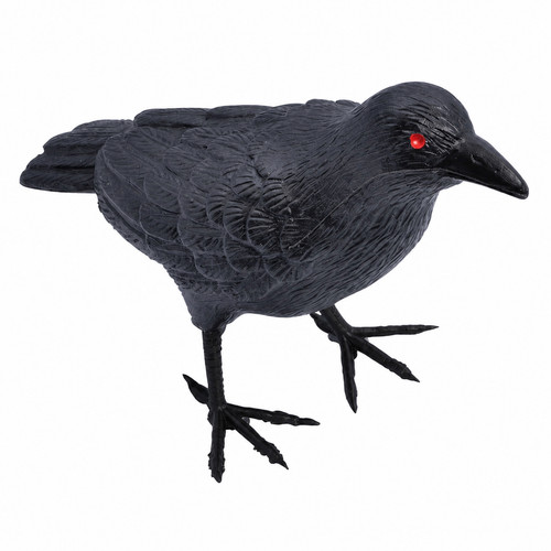 Brand new prop raven - prop,
