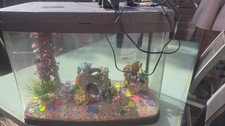 Fish Tank Aquarium