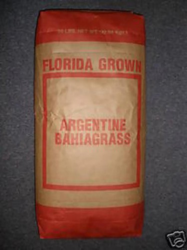 Argentine bahia pasture grass - pasture,