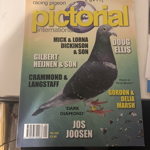 Racing pigeon pictorial - racing,