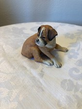 PUPS GALORE BOXER PG05