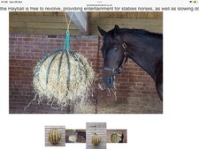 Hay Ball for Horse Ball Diameter 22 inches 56cm Hay Feeding Ball Goat