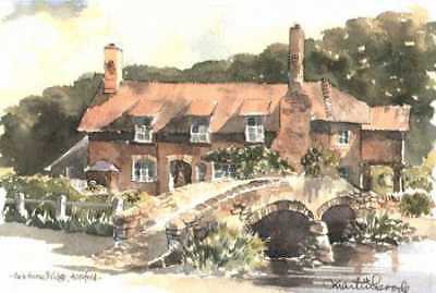 Beautiful print packhorse - beautiful,