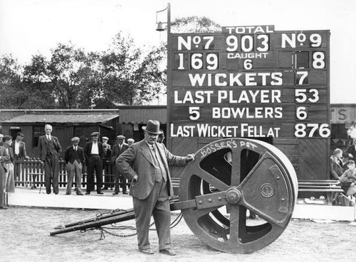 Famous cricket groundsman