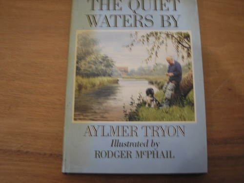 The quiet waters - waters, by