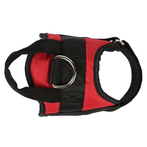 Regatta reflective dog - reflective,