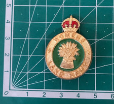 Women's Land Army Sweetheart