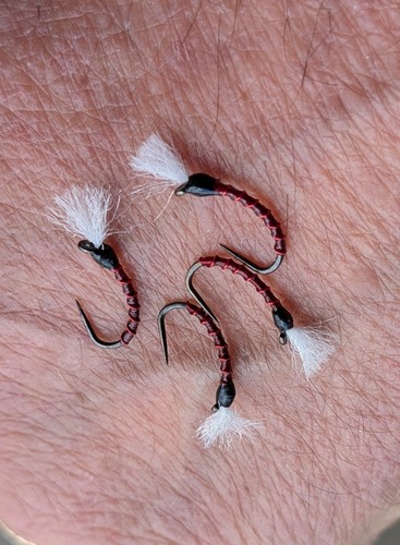 Bloodworm trout fishing - bloodworm,