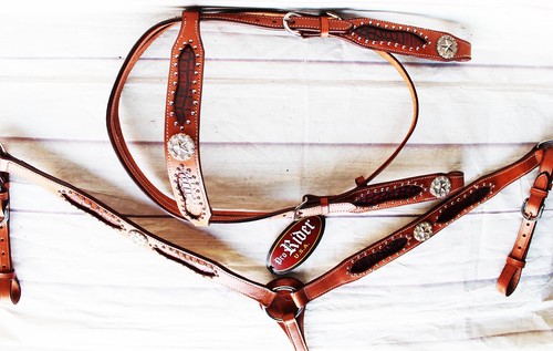 Horse show bridle - bridle, western