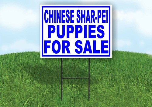 Chinese shar pei puppies - chinese, shar-pei