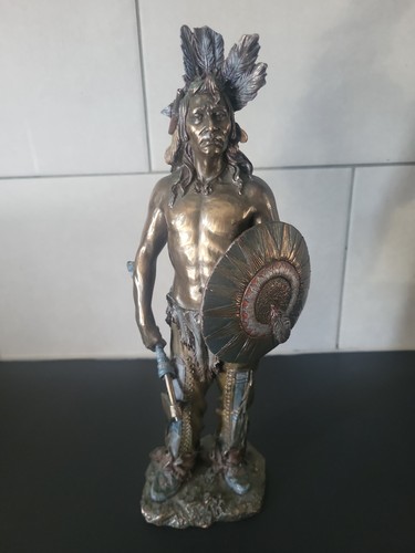 Native american warrior chief - native,