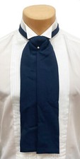 Men's Navy Blue Ascot Cravat Tie with Pin Victorian Formal Morning Dress