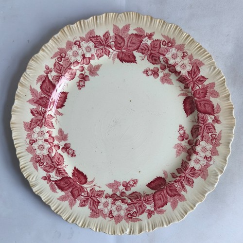 Wedgwood bramble etruria - etruria, &