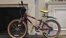 Raleigh 20 Inch Moutain Bike