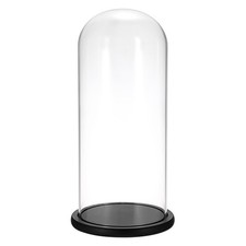 Glass Tall Cloche Dome with