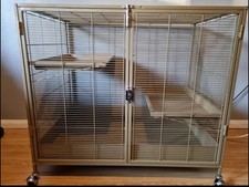 Single Little Zoo Venturer Rat