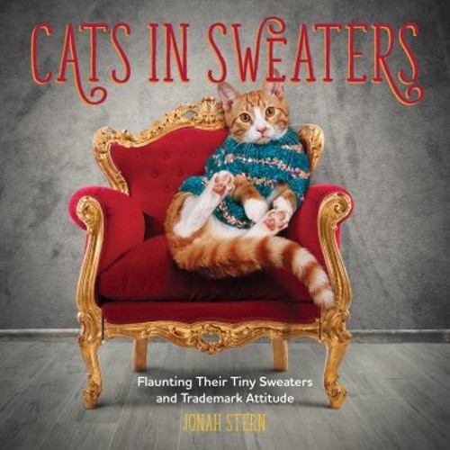Cats sweaters flaunting - :,