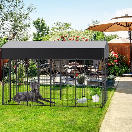 Xxlarge outdoor dog - outdoor,
