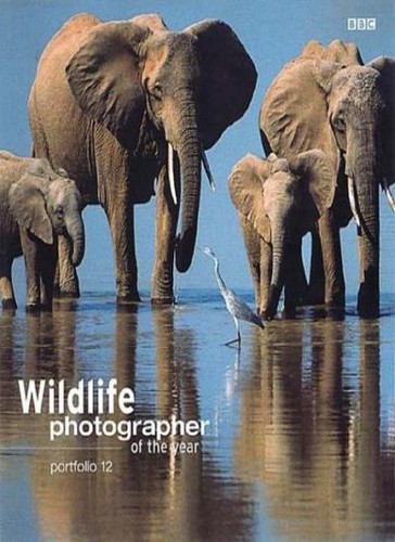 Wildlife photographer the - photographer, of