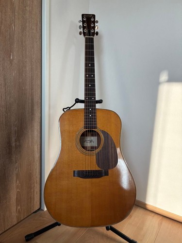 Tokai humming bird custom - tokai,