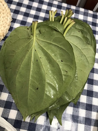 Bangladeshi bangla paan - 30,
