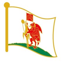 City of CARDIFF : Flag Enamel