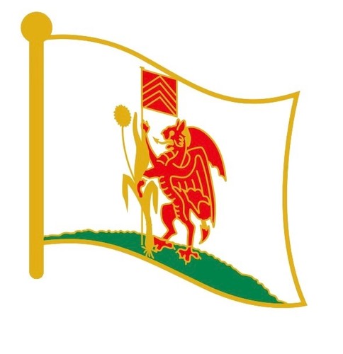 City cardiff flag enamel - cardiff,
