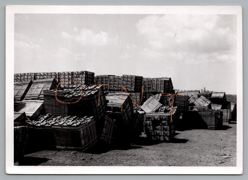 Vietnam army photo crates - u.s.,