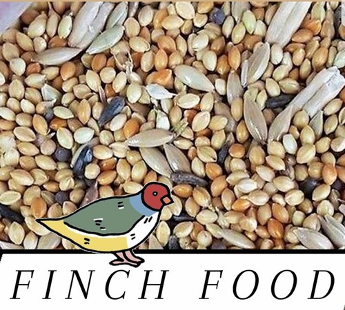 Gourmet finch canary food - gourmet,