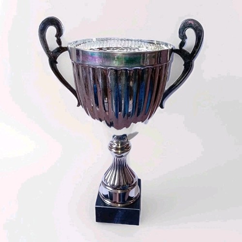 Silver coloured cup 34cm - silver,