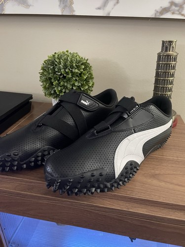 Men puma mostró ortholite - mostrÓ,
