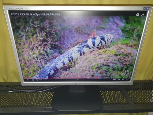 Flatron lcd monitor - lg, 19"