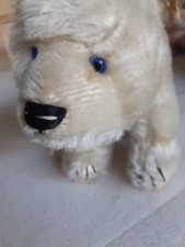 Maybe , Steiff , Hermann , Schucco , Max Carl polar bear 