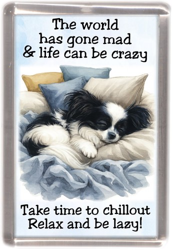Papillon butterfly dog - butterfly, fridge
