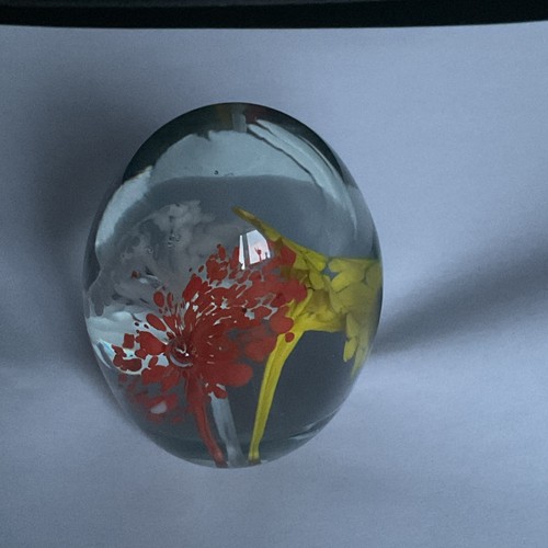Vintage domed glass - vintage,
