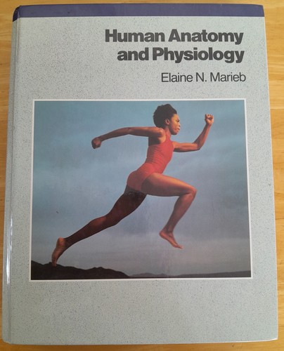 Human anatomy and physiology - human,