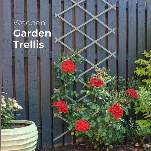 Pack wooden trellis - 3,