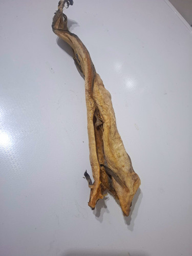 Dried stock fish - stock,