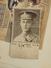 Sk247 Ephemera Small Head