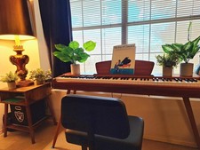 ?Donner DDP-80 Digital Piano 88 Key Weighted Wood Style with Stand & 3 Pedal