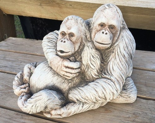 Orangutan couple garden - couple,