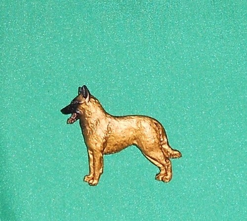 Belgian shepherd malinois dog - shepherd,