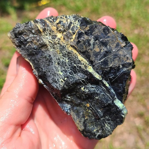 Nautilus variscite rough - variscite,
