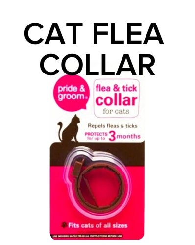 Cat flea tick - cat, &