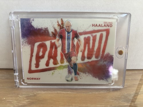 Erling haaland 2024 panini - erling,