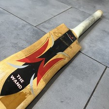 Woodworm the wand cricket - woodworm,