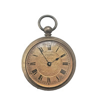 Antique Edwardian Ladies Swiss