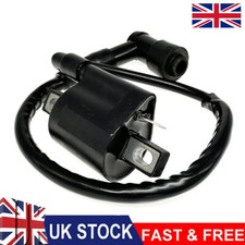 Ignition coil with spark plug