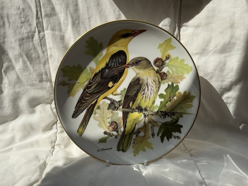Boxed collectors plate band - boxed,