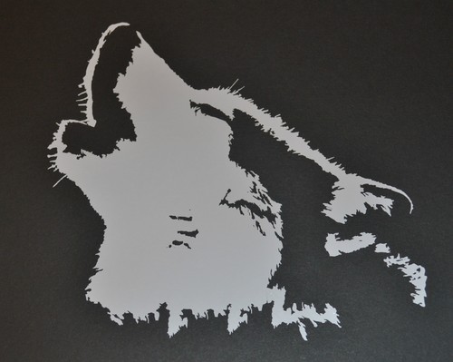 25cm howling husky - husky, face